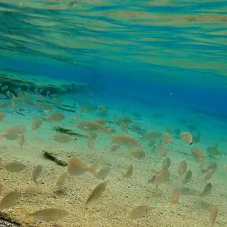 Xenonas Blue Feriehus Kalamaki (Heraklion)